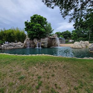 RWPZ 7/22 - African elephants