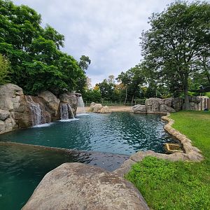 RWPZ 7/22 - African elephants