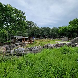 RWPZ 7/22 - First view of giraffe yard