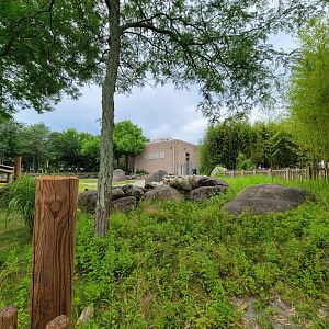 RWPZ 7/22 - Giraffe yard