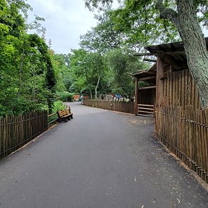 RWPZ 7/22 - Path past giraffes