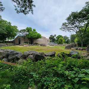 RWPZ 7/22 - Giraffe yard