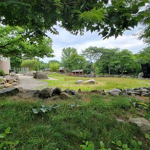 RWPZ 7/22 - Giraffe yard