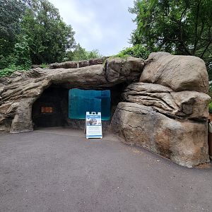 RWPZ 7/22 - Former harbor seal pool