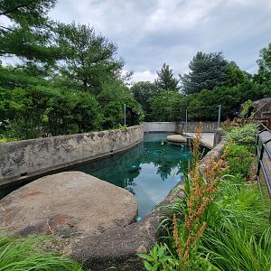 RWPZ 7/22 - Former harbor seal pool