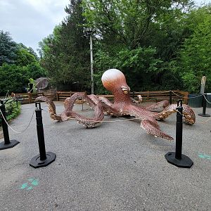 RWPZ 7/22 - Octopus lantern by seal pool