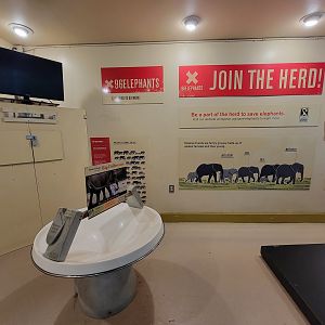 RWPZ 7/22 - Elephant Giraffe Pavilion