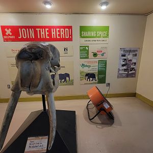 RWPZ 7/22 - Elephant Giraffe Pavilion