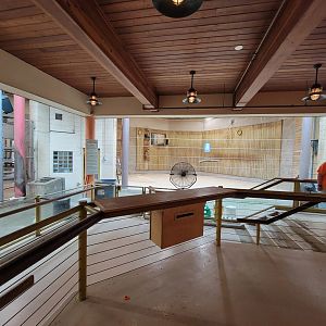 RWPZ 7/22 - Elephant Giraffe Pavilion