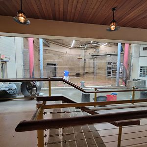 RWPZ 7/22 - Elephant Giraffe Pavilion