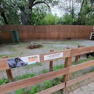 RWPZ 7/22 - Alex & Ani Farmyard