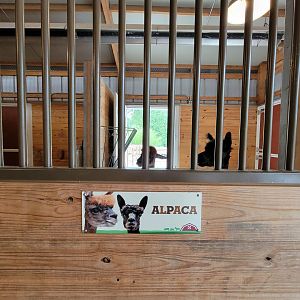 RWPZ 7/22 - Alex & Ani Farmyard