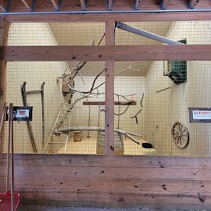 RWPZ 7/22 - Alex & Ani Farmyard, Barn Owl