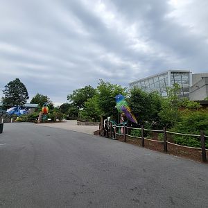 RWPZ 7/22 - Coming up to Faces of the Rainforest