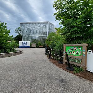 RWPZ 7/22 - Faces of the Rainforest