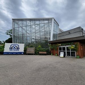 RWPZ 7/22 - Faces of the Rainforest