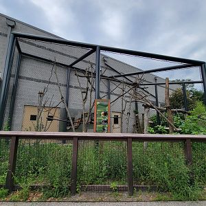 RWPZ 7/22 - Outdoor area for primates from Faces of the Rainforest