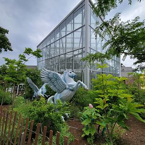 RWPZ 7/22 - Faces of the Rainforest