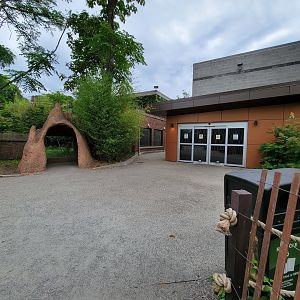 RWPZ 7/22 - Faces of the Rainforest exit, anteater viewing