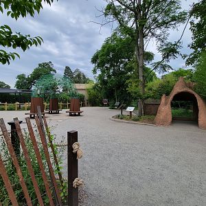 RWPZ 7/22 - Faces of the Rainforest outside area