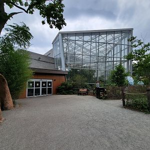 RWPZ 7/22 - Faces of the Rainforest exit