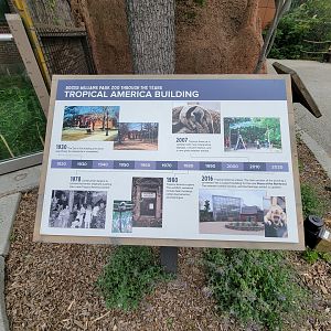 RWPZ 7/22 - Faces of the Rainforest history