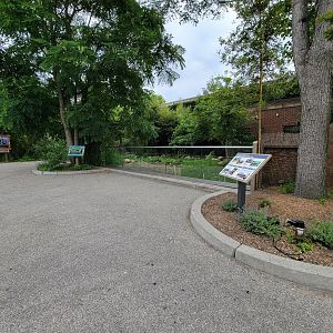 RWPZ 7/22 - Giant anteaters