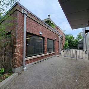 RWPZ 7/22 - Giant anteater indoor viewing