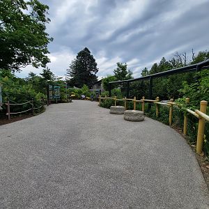 RWPZ 7/22 - Outside Faces of the Rainforest