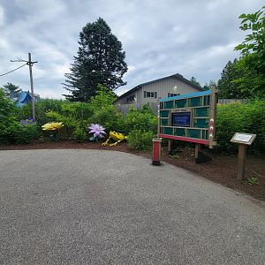 RWPZ 7/22 - Outside Faces of the Rainforest