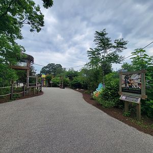 RWPZ 7/22 - Outside Faces of the Rainforest