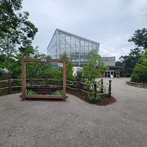 RWPZ 7/22 - Outside Faces of the Rainforest