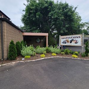 RWPZ 7/22 - World of Adaptations