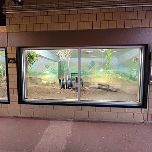 RWPZ 7/22 - Komodo Dragon