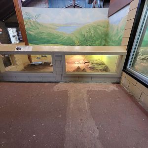 RWPZ 7/22 - Radiated tortoises indoor area