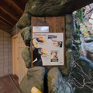 RWPZ 7/22 - Wrinkled hornbill signage