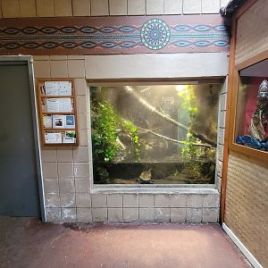 RWPZ 7/22 - Emerald tree boa, eastern long-necked turtle