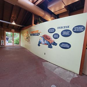 RWPZ 7/22 - Tortoise or turtle?