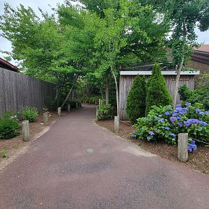 RWPZ 7/22 - Path to Australasia, behind World of Adaptations building