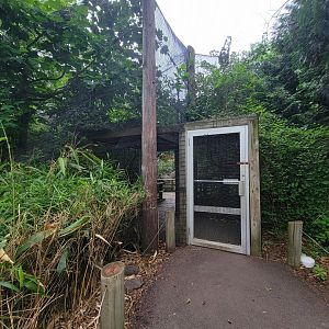 RWPZ 7/22 - Entrance to King vulture exhibit, formerly a walkthrough