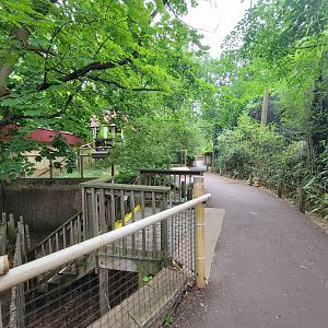 RWPZ 7/22 - Path in Australasia