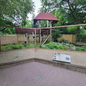 RWPZ 7/22 - Binturong