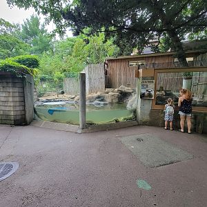 RWPZ 7/22 - North american river otters