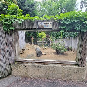 RWPZ 7/22 - North american river otters