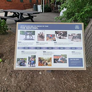 RWPZ 7/22 - History of Sentinel