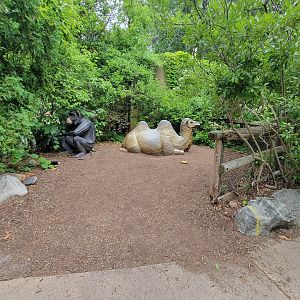 RWPZ 7/22 - camel statue, and oddly places chimp lantern, Marco Polo's Adventure Trek