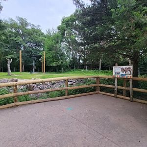 RWPZ 7/22 - Bactrian camel