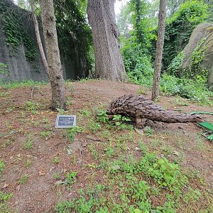 RWPZ 7/22 - Pangolin statue