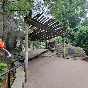 RWPZ 7/22 - Asiatic black bear, upper window