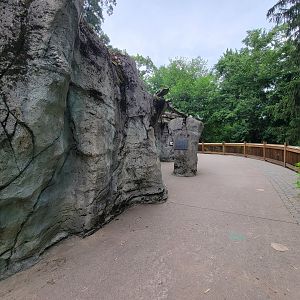 RWPZ 7/22 - Asiatic black bear